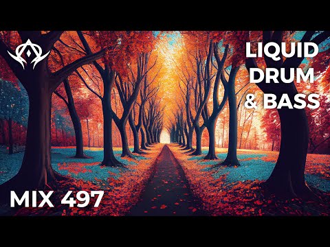 Liquid Drum and Bass Mix 497