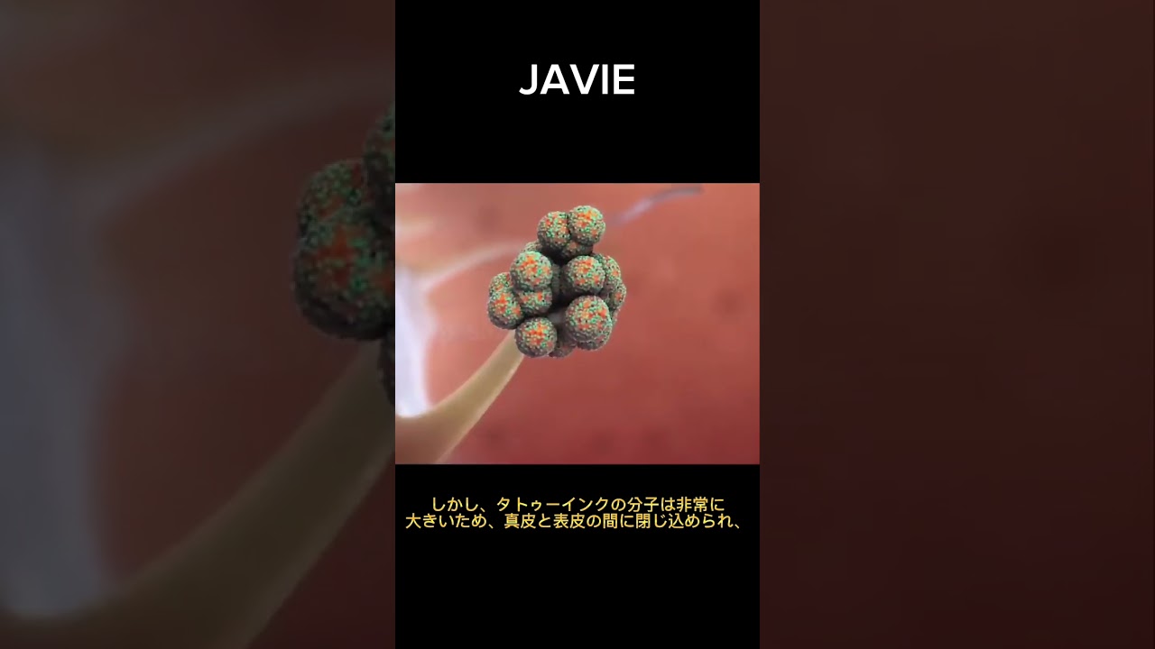タトゥーの仕組み| 多分あなたは知らない  #javie #shorts