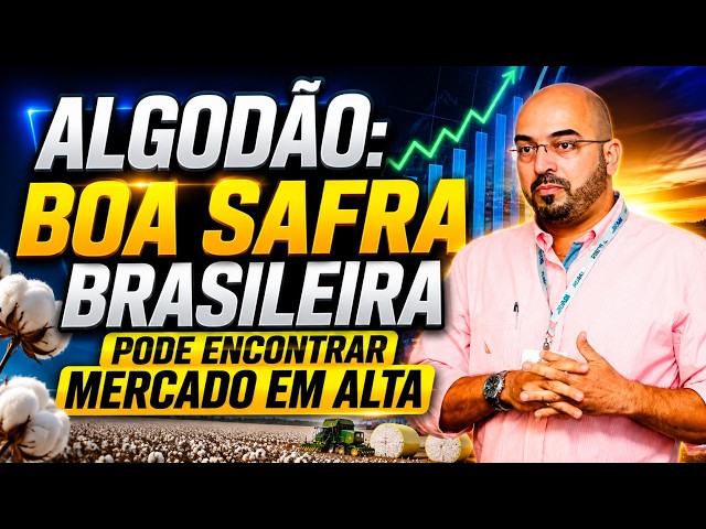 Algodão: boa safra brasileira pode encontrar Mercado em Alta.