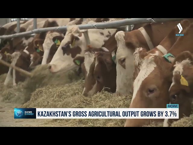 Казакстанда айыл чарба өнүмүнүн дүң көлөмү 3,7%га өстү
