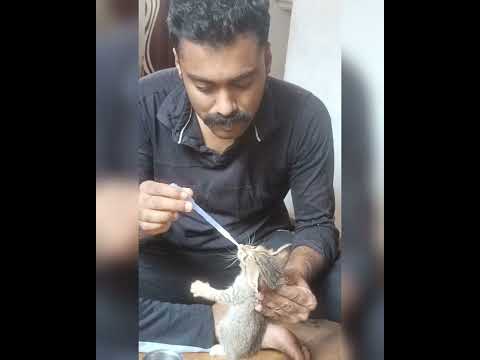 അമ്മ മരിച്ചത്കൊണ്ട് പാൽ കിട്ടാതെ കിടക്കുവായിരുന്നു കാണാൻ വൈകിപ്പോയി...