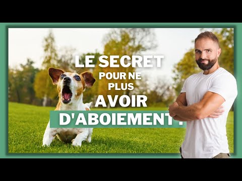 Le secret pour ne plus avoir d'aboiement !