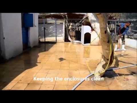 ESMA WORKERS at the dog shelter 14 05 2015