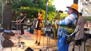 Brave Combo at Summer in the Park -- July 18, 2013 (shakiness corrected)