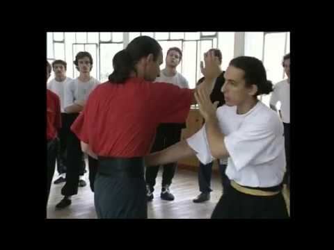 Shaolin Wing Chun Kung-Fu Sifu Didier Beddar DVD Trailer DVD08