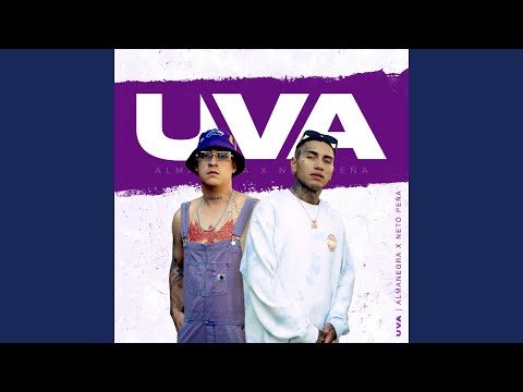 Uva