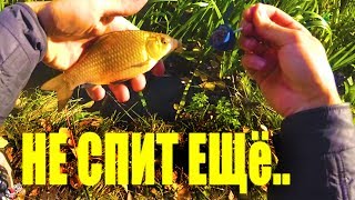 Ловля карася в октябре на соску