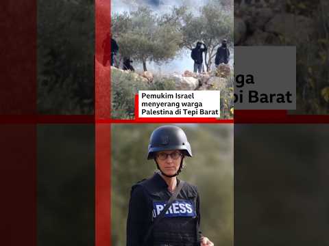 BBC melihat para pemukim Israel menyerang warga Palestina dan membakar pohon zaitun di Tepi Barat