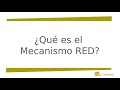 qué es el mecanismo red