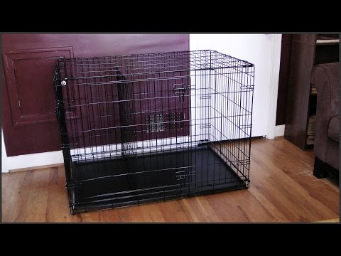 Dog crate setup