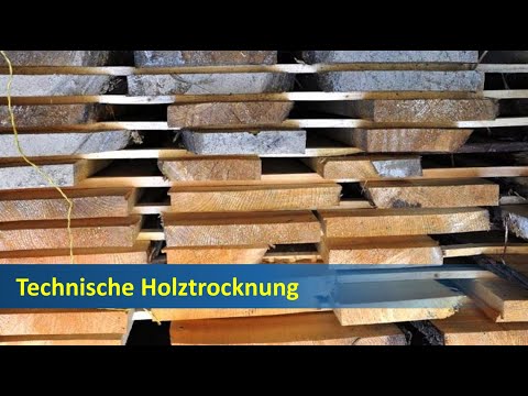 Holztrocknung: Wie trocknet man Holz?