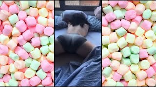 Big Body Tiktok Challenge🍑🍒#bigbank