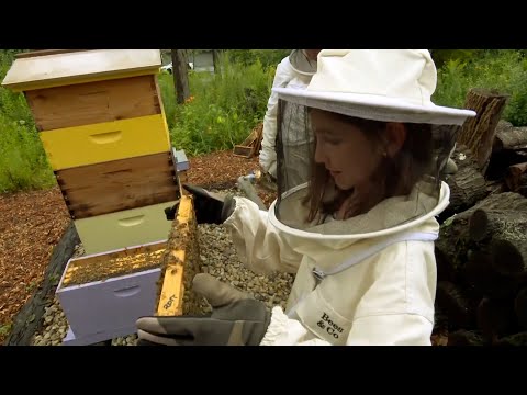 This 11-Year-Old Activist Is Working to Save the Bees