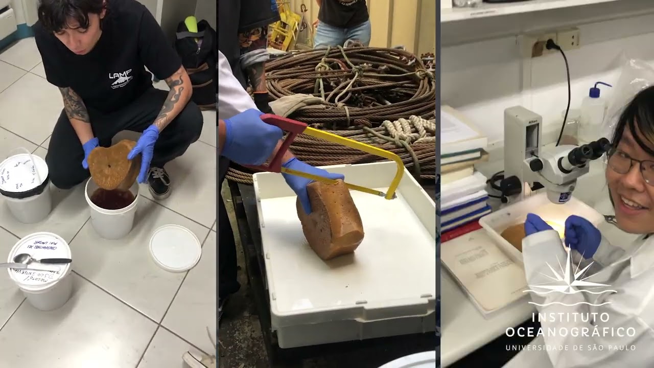 Projeto BECOOL- O que fazem os cientistas brasileiros na Antártica?