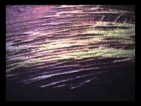 Robert Jankovic & Tobias Pender (Animation)