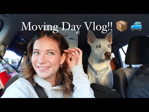 Moving Day!! Travel with Me and Yuki Vlog