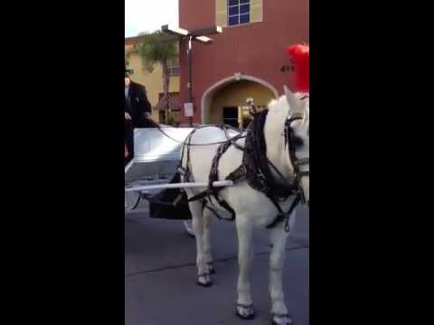 Promotional video thumbnail 3 for Cindy Cinderella Carriages