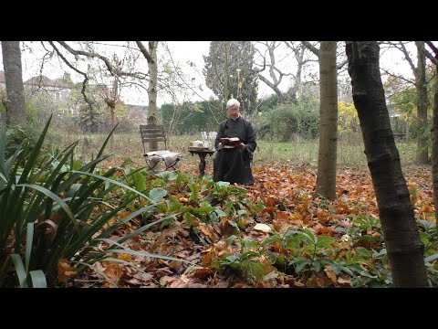 Morning Prayer – Wednesday, 24th November 2021