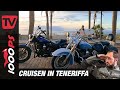 Harley Davidson Gebrauchttest Softail Deluxe Und Dyna Street Bob 2015 Sind Die Hohen Preise Ok