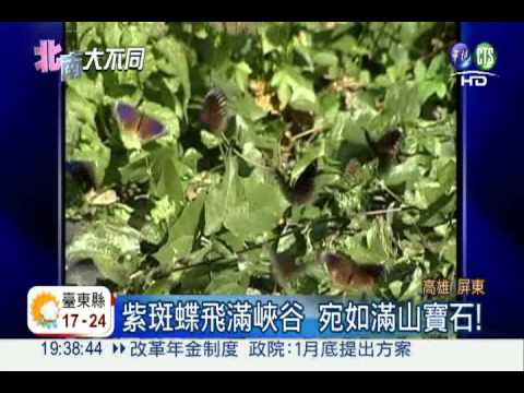 賞蝶有吃有玩! 1天只要299元