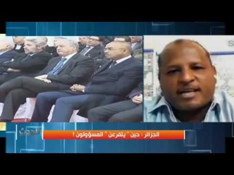 الجزائر.. حين "يتفرعن" المسؤولون