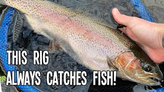 How to CATCH FISH on the BOISE River! (100% success)