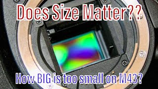 Does Size REALLY Matter on M43? Has pixel count maxed out?