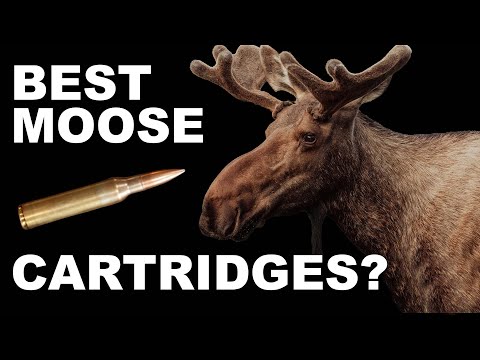 Best Moose Hunting Cartridges!