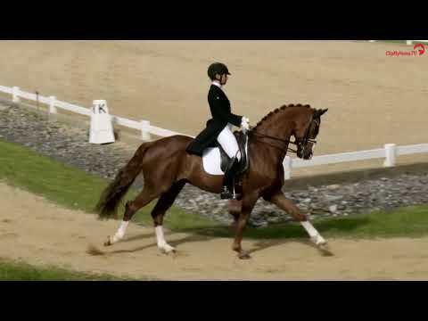 Siegesritt Laura Strobel | Pferd International München 2023