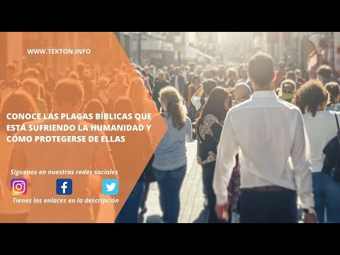 Conoce las plagas bíblicas que está sufriendo la humanidad y como protegerse de ellas