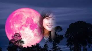 Download lagu Tak Bisa Ke Lain Hati - KLa Project (HQ) mp3