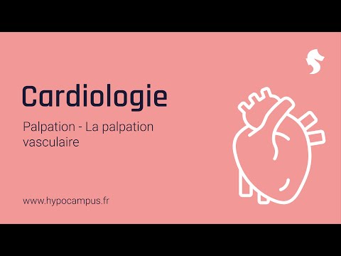 La palpation vasculaire - Palpation en Cardiologie
