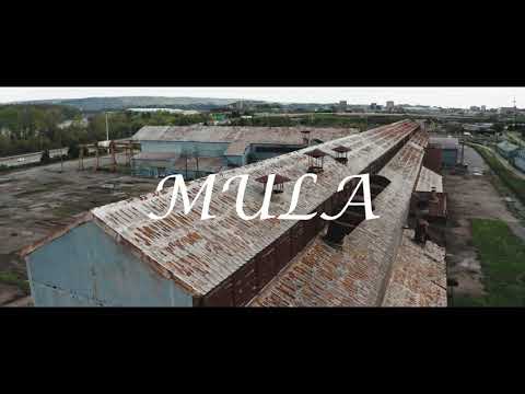 Cinou - Mini Mula (Prod by. Absaroth)
