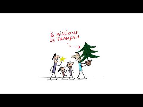 Est-ce qu'acheter un sapin de Noël détruit la forêt ? (EP. 673) - 1 jour, 1 question