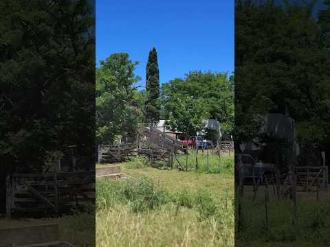 Establecimiento Rural en Coronel Brandsen Buenos Aires Argentina