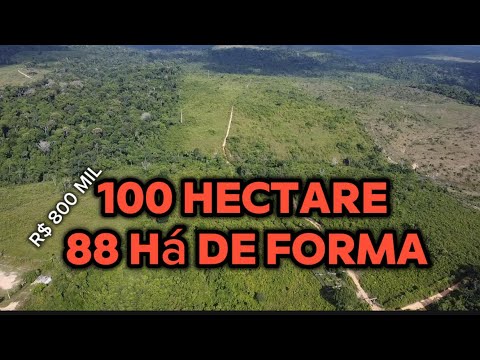 100 HECTARE PREÇO DE FARINHA NA FERA 😱 na região de Ruropolis pará ! Vejam o vídeo 😳.