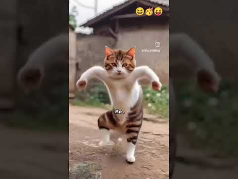 affiliate  subal   ❤❤❤❤✝️