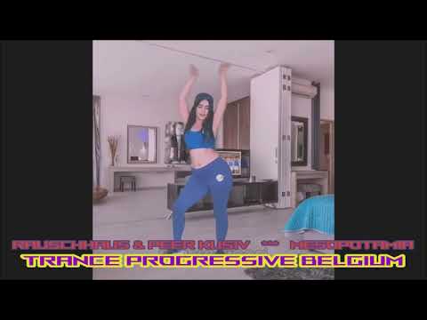 Rauschhaus & Peer Kusiv   ***   Mesopotamia