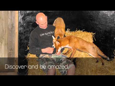 Feadon Farm Wildlife Centre Redruth Cornwall