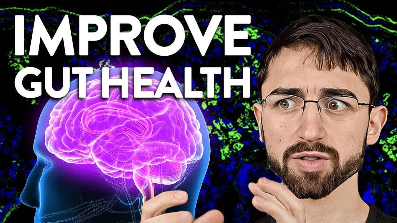 The Link Between Stress and the Microbiome: New Research Explained