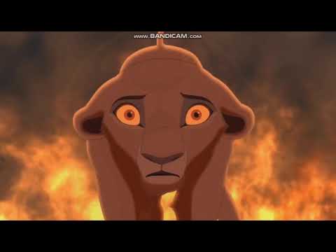 "A Animal's Life" Part 10 - The Robin Hood Act