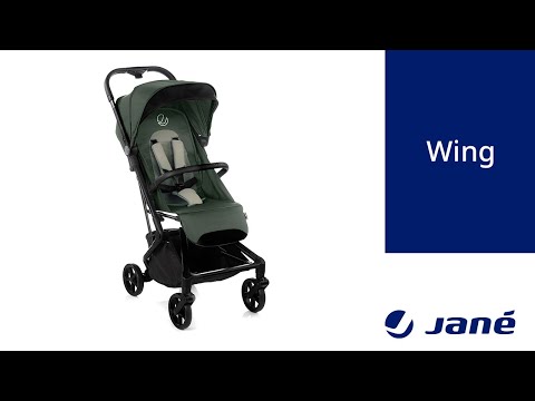 Carucior sport, Jane, Wing, De la nastere pana la 22 Kg