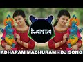 Madhurashtakam Adharam Madhuram Dj Song | Remix Dj Kanta | Agam Aggarwal | Krishna Janmashtami 2022