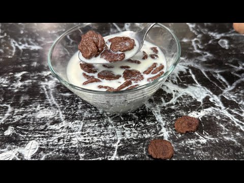 Homemade cereal type Chocapic