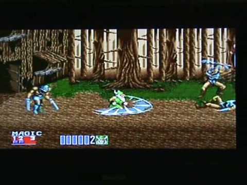 Golden Axe II Wii