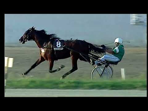 Napoli Trotto 20/09/2022 - 9ª corsa