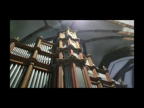 SULECHÓW ORGANY PREZENTACJA