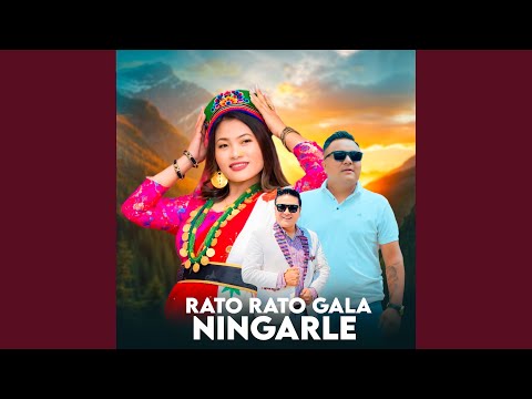 Rato Rato Gala Ningarle