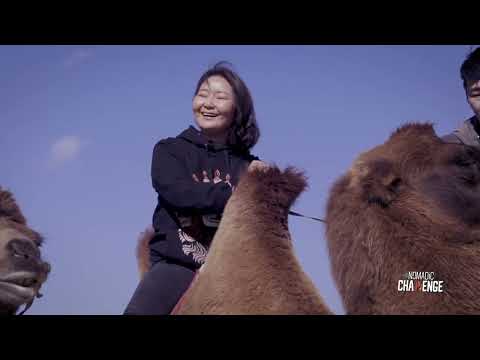 A camel cries when it hears a song