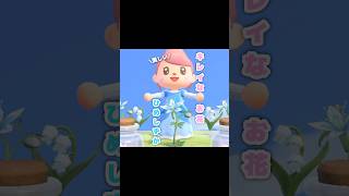 夜になると更に幻想的...？！？！#あつ森 #どうぶつの森 #あつまれどうぶつの森 #shortvideo #shorts #short #ひめしずか#ようせいのビン